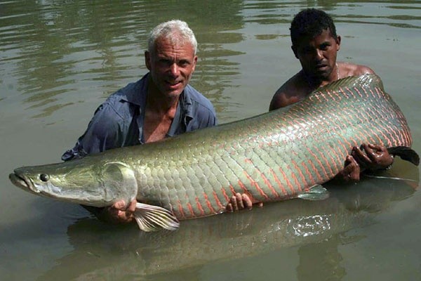 Photo:  River Monsters 2